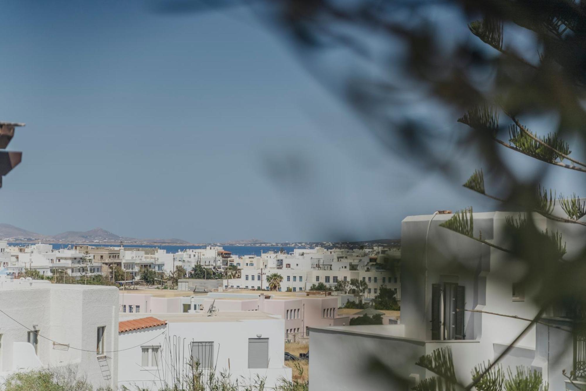 Golden Bird'S Aparthotel Naxos City Exterior photo